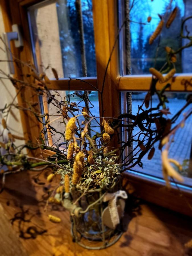 Ferienhaus Drakenhof Bad Salzuflen Bagian luar foto